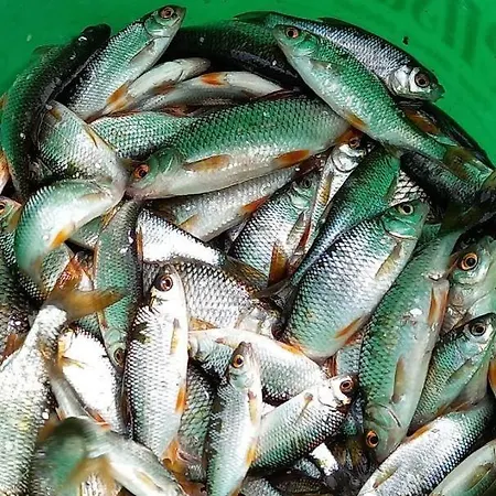 度假居 L'atelier Des Hirondelles