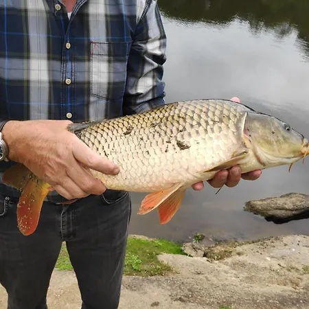 度假居 L'atelier Des Hirondelles Alexain