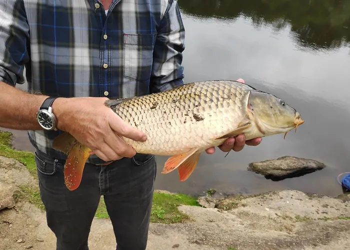 Tatil Evi L'atelier Des Hirondelles Alexain